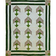 Load image into Gallery viewer, PATTERN BOOK - Pioneer Quilts: Prairie Settlers' Life in Fabric
